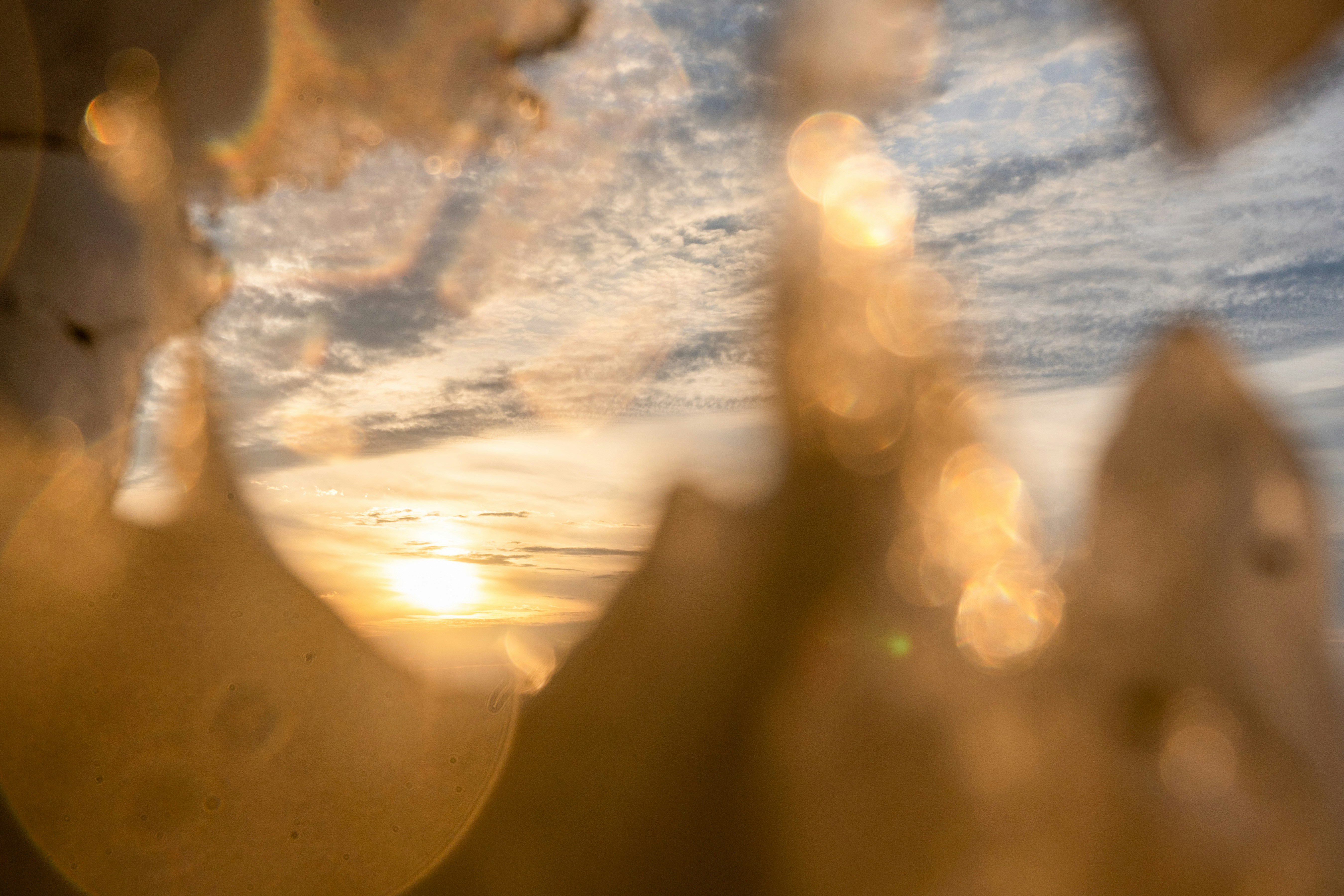 Photo by mharrisonphotography