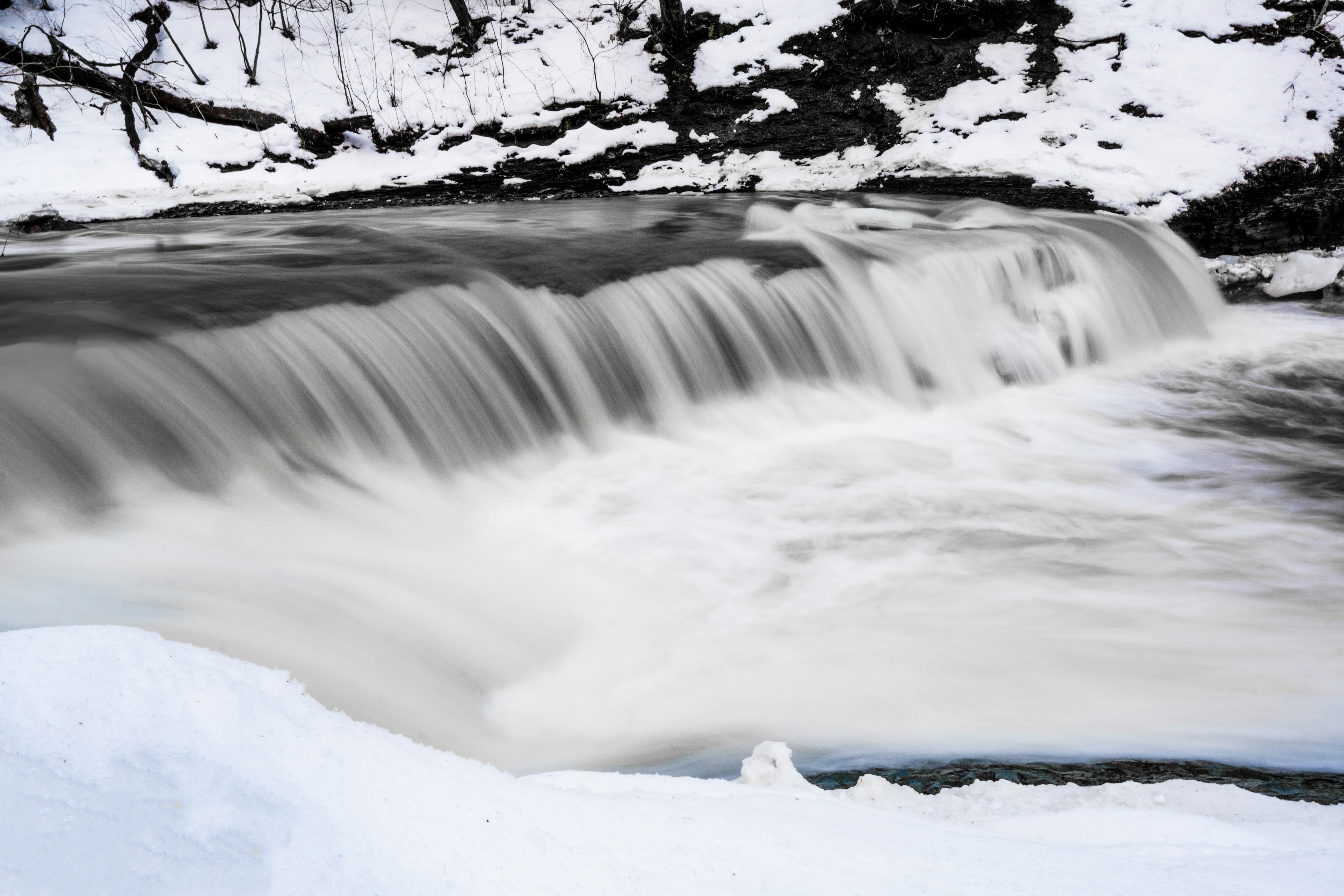 Photo by mharrisonphotography