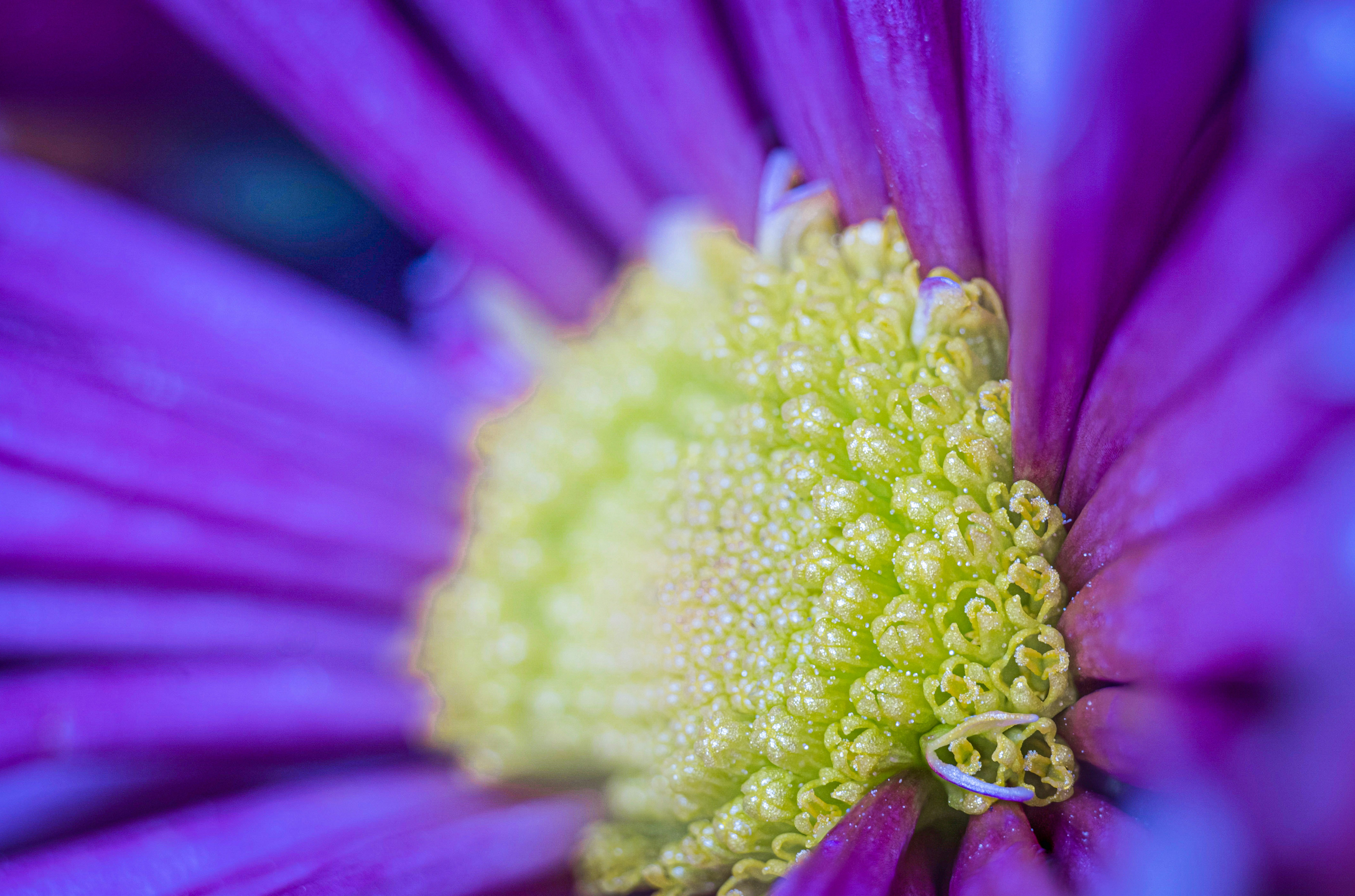 Photo by mharrisonphotography