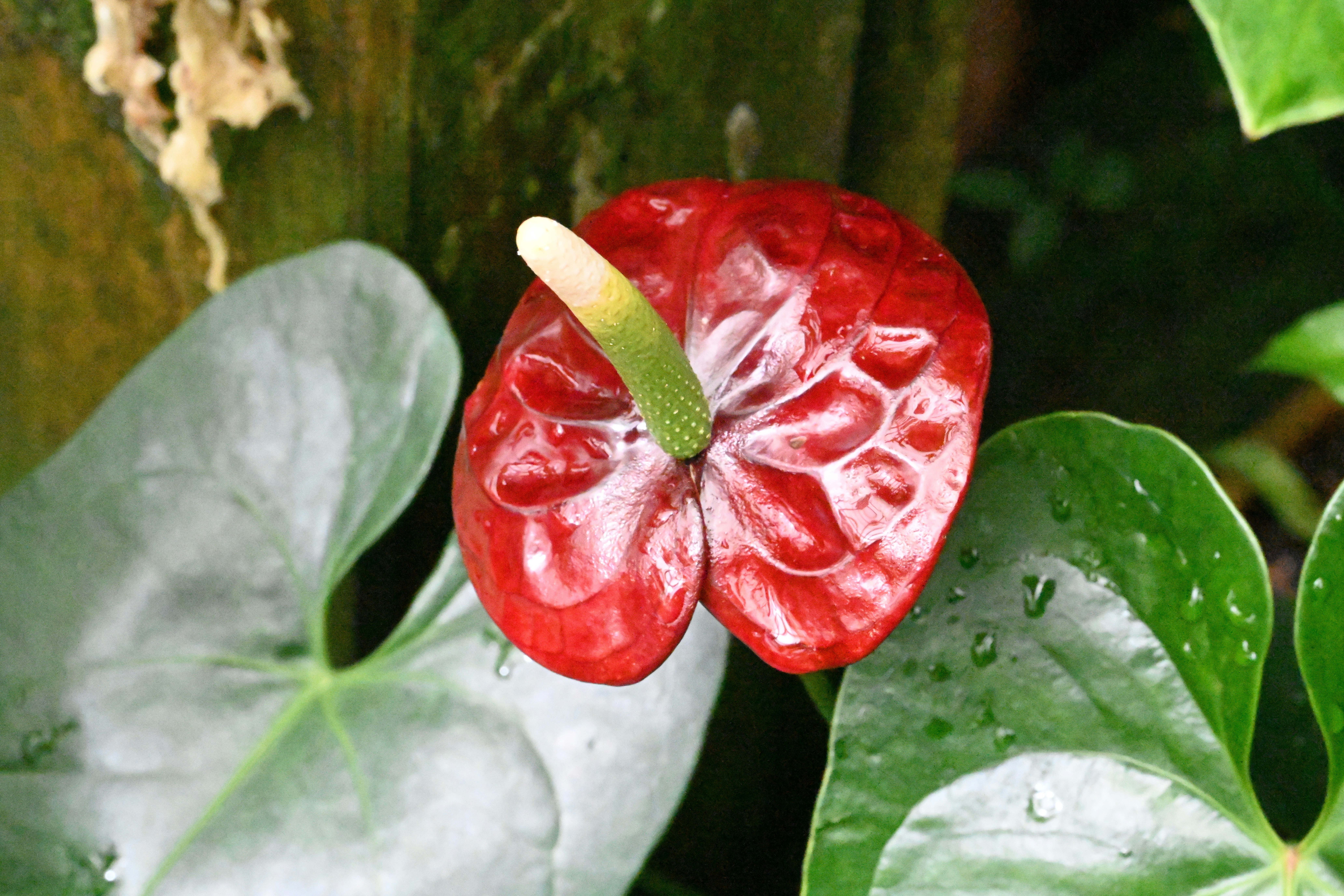 Photo by theunknownaldiaz