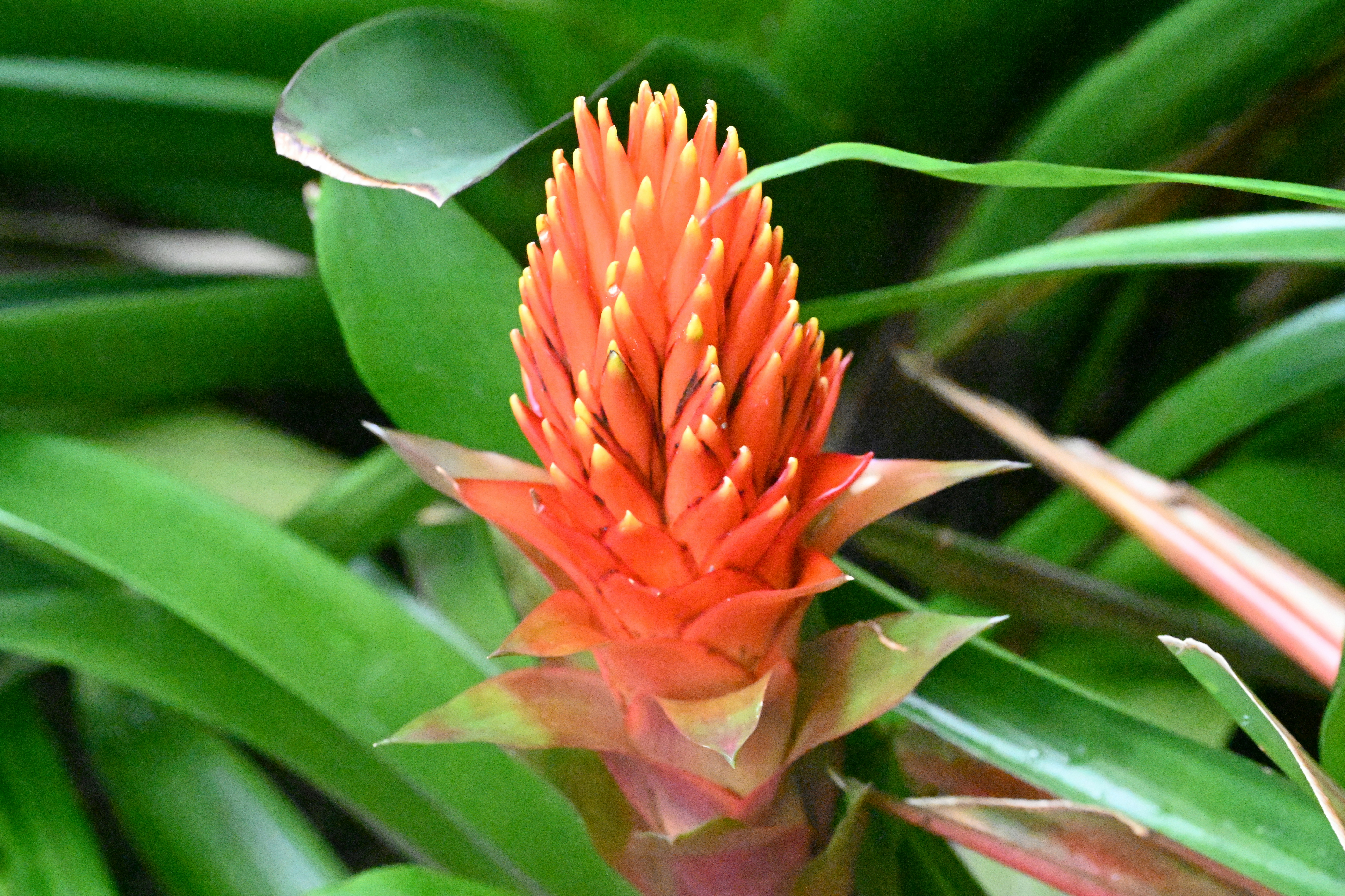 Photo by theunknownaldiaz