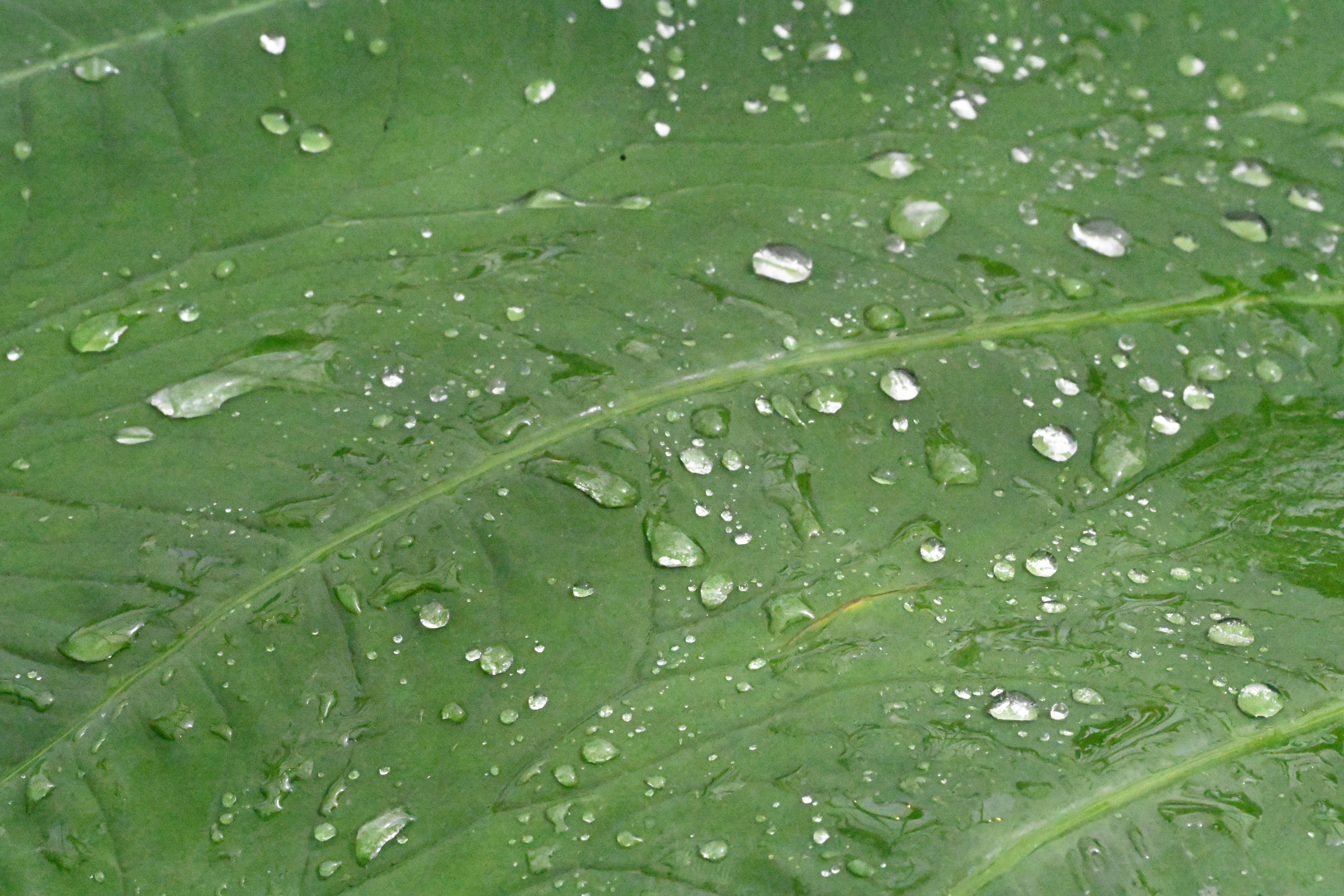 Photo by theunknownaldiaz