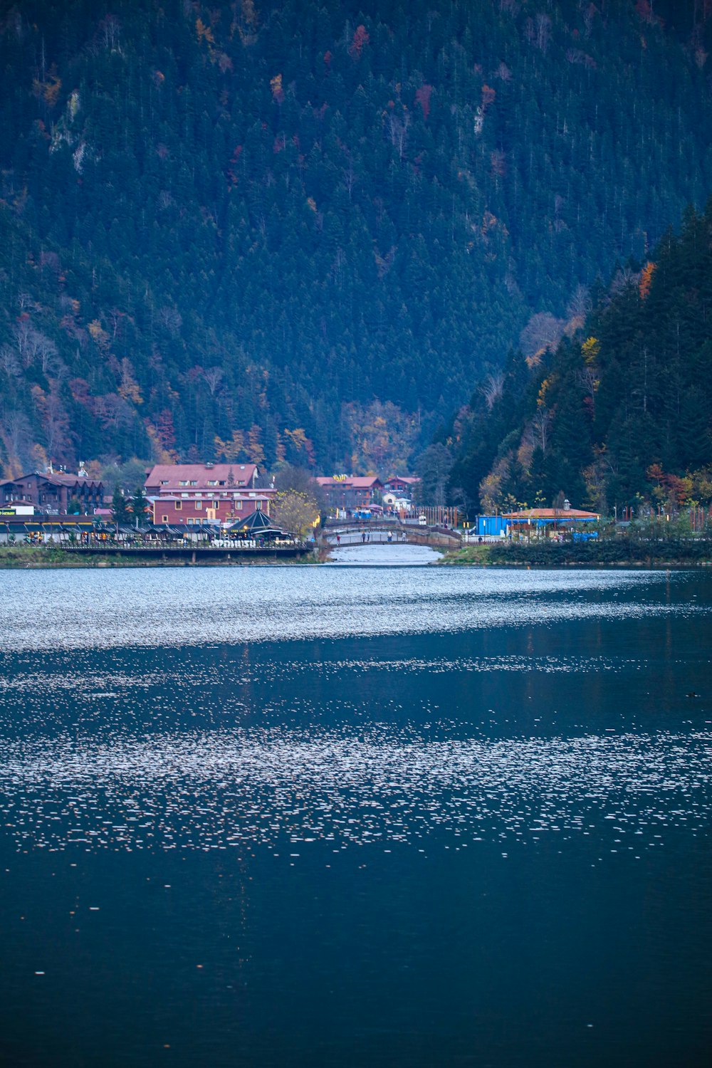 a body of water with houses in the background