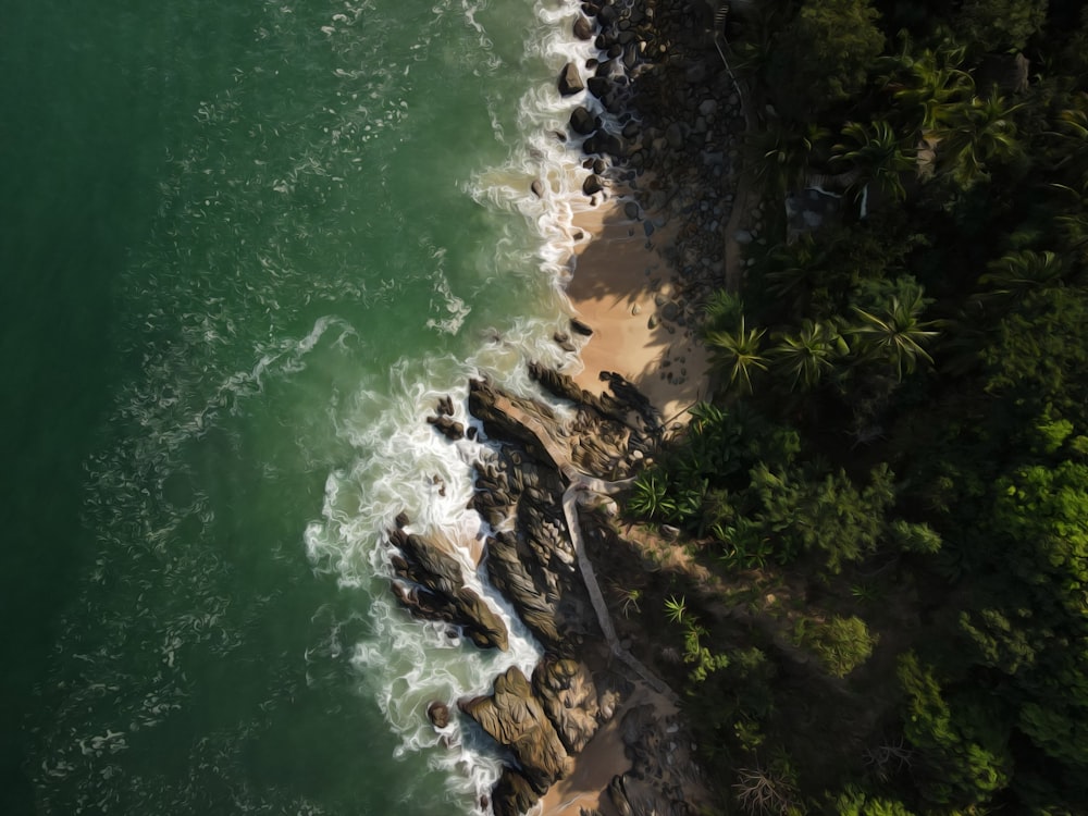 an aerial view of a beach and ocean