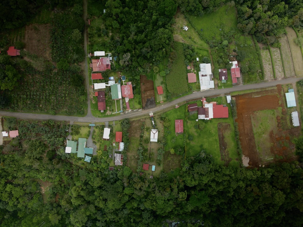 an aerial view of a small village in the middle of a forest