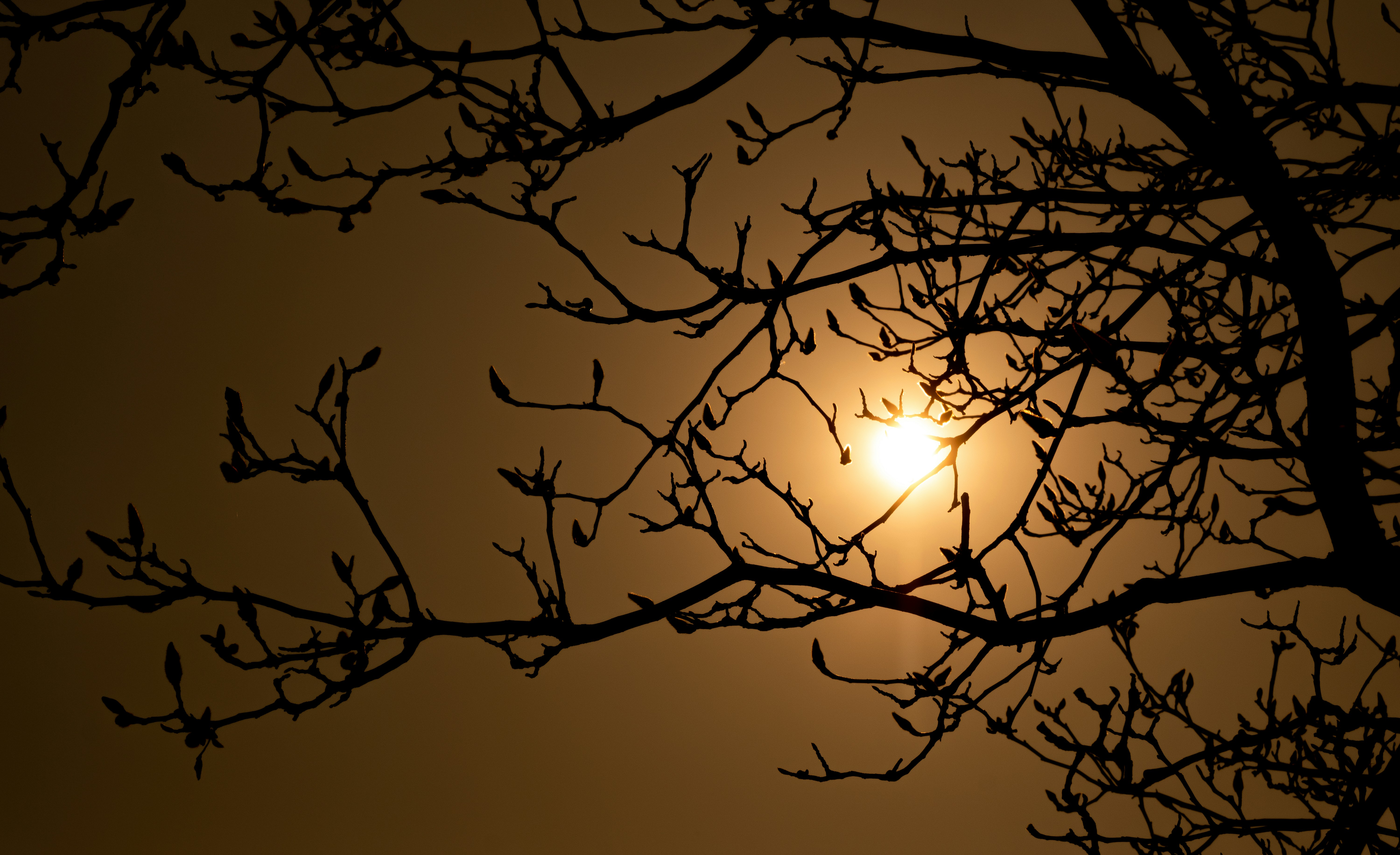 Photo by sunriseking