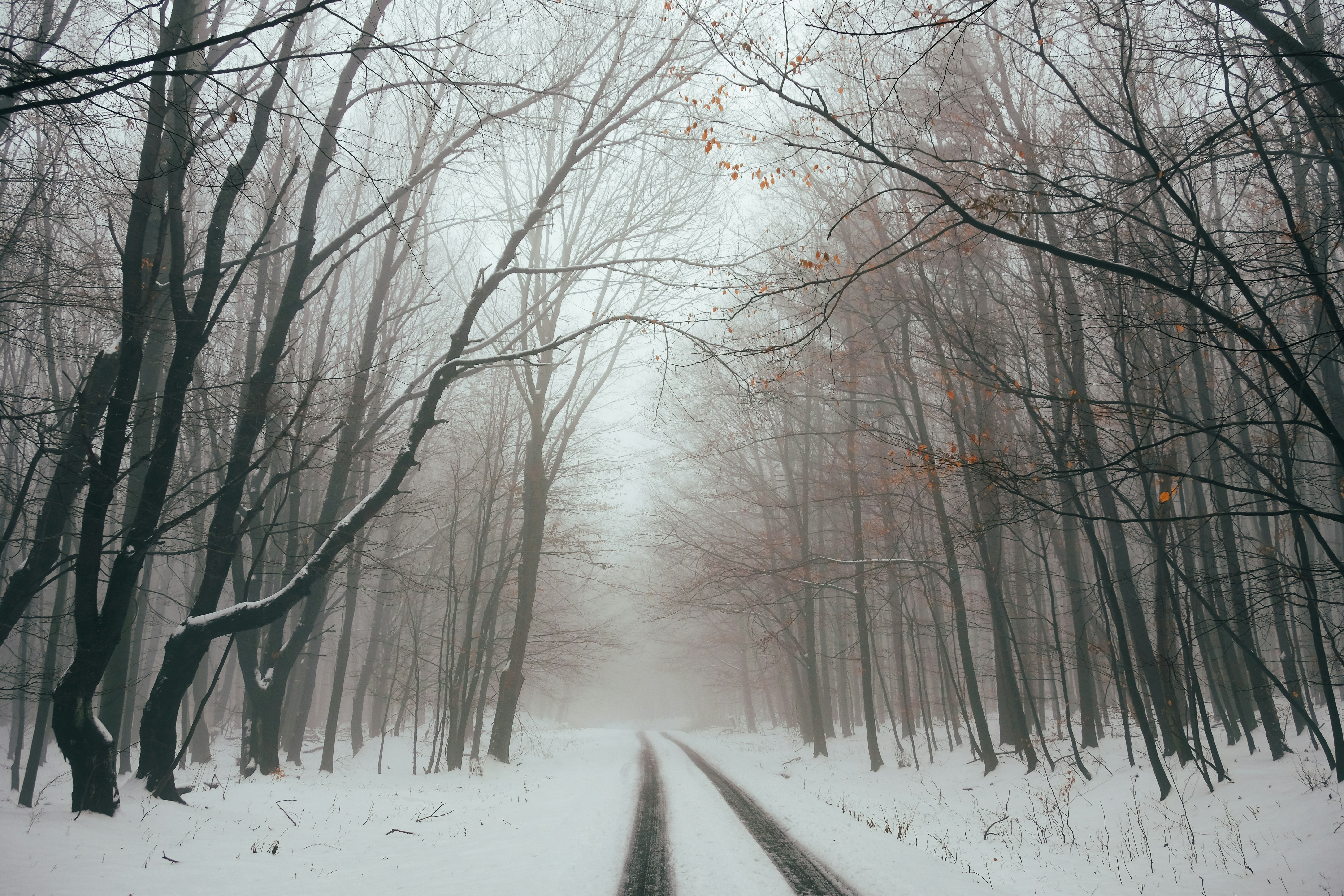 Photo by mfilipcikova