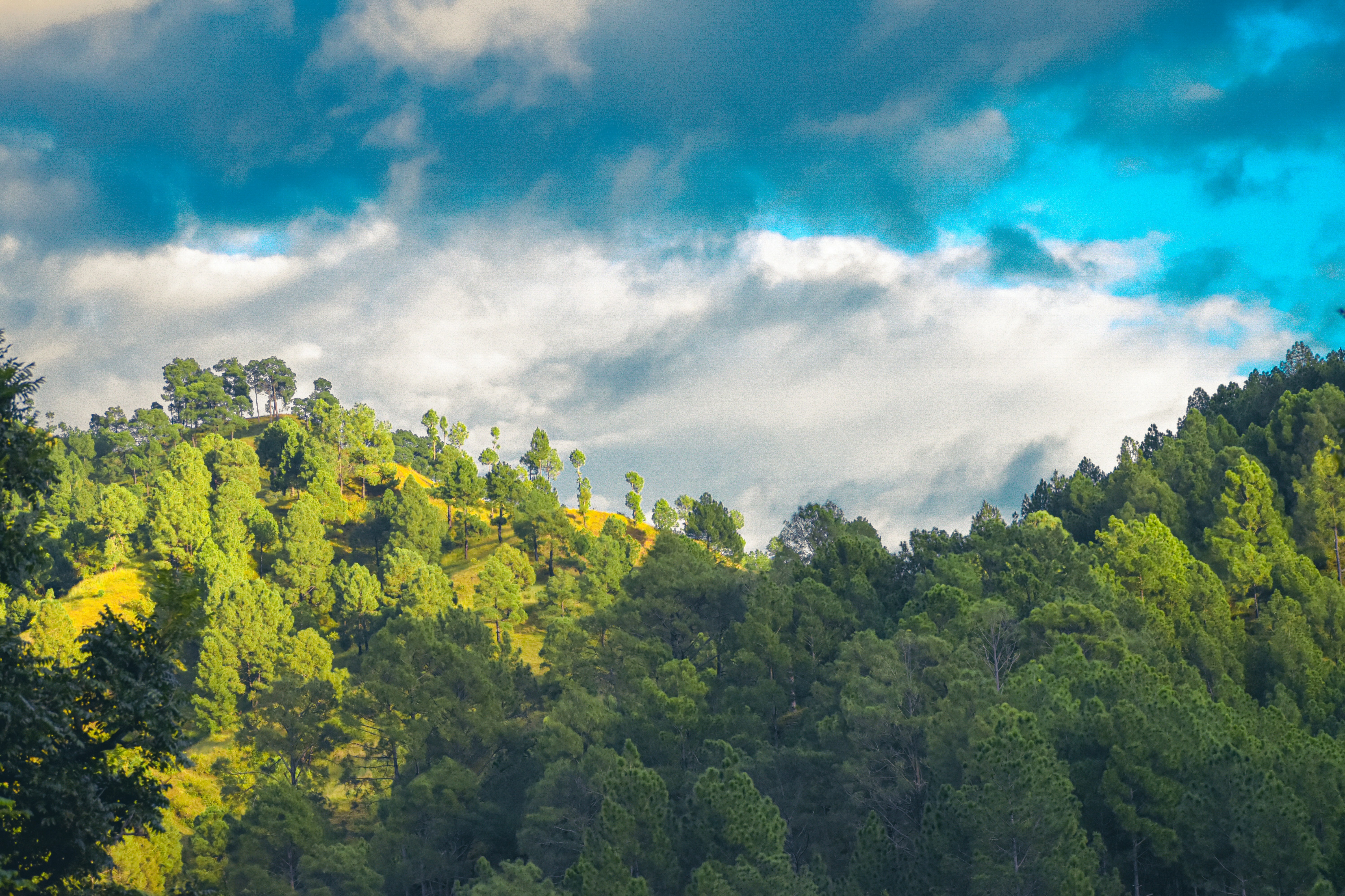 Photo by abhinav_arya