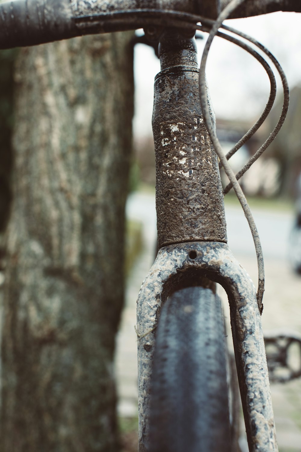 a close up of a bird feeder