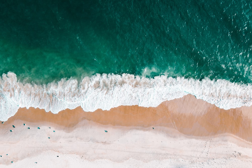 an aerial view of a beach and ocean