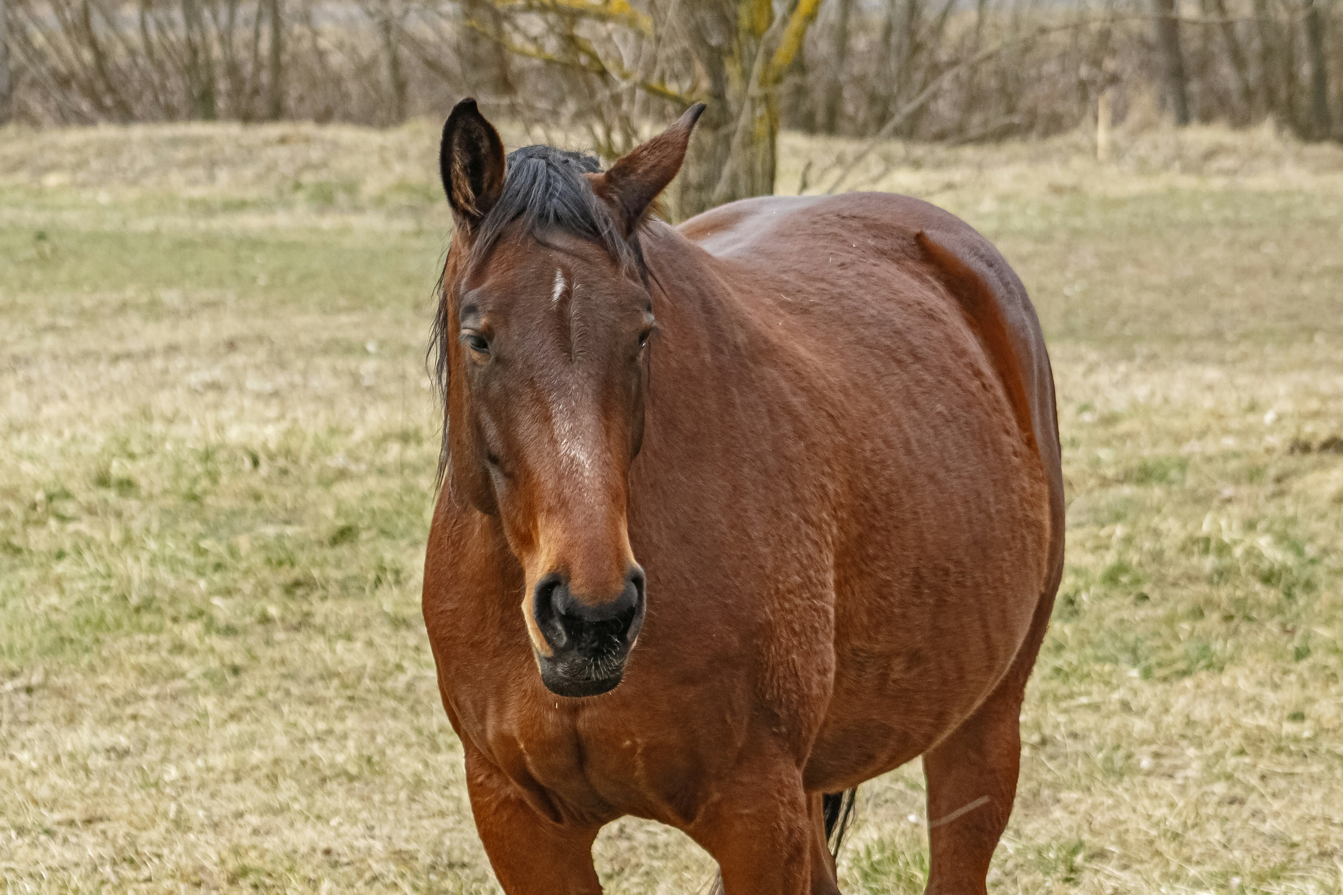 Photo by glatz0