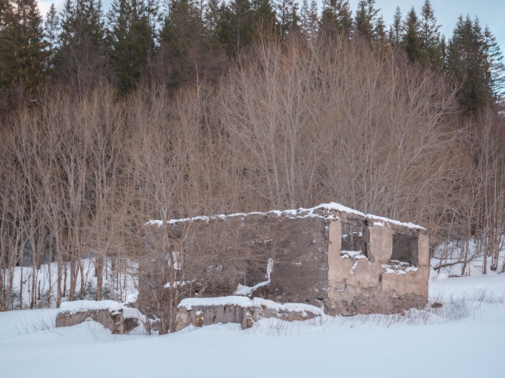 Un vecchio edificio nel mezzo di un campo innevato