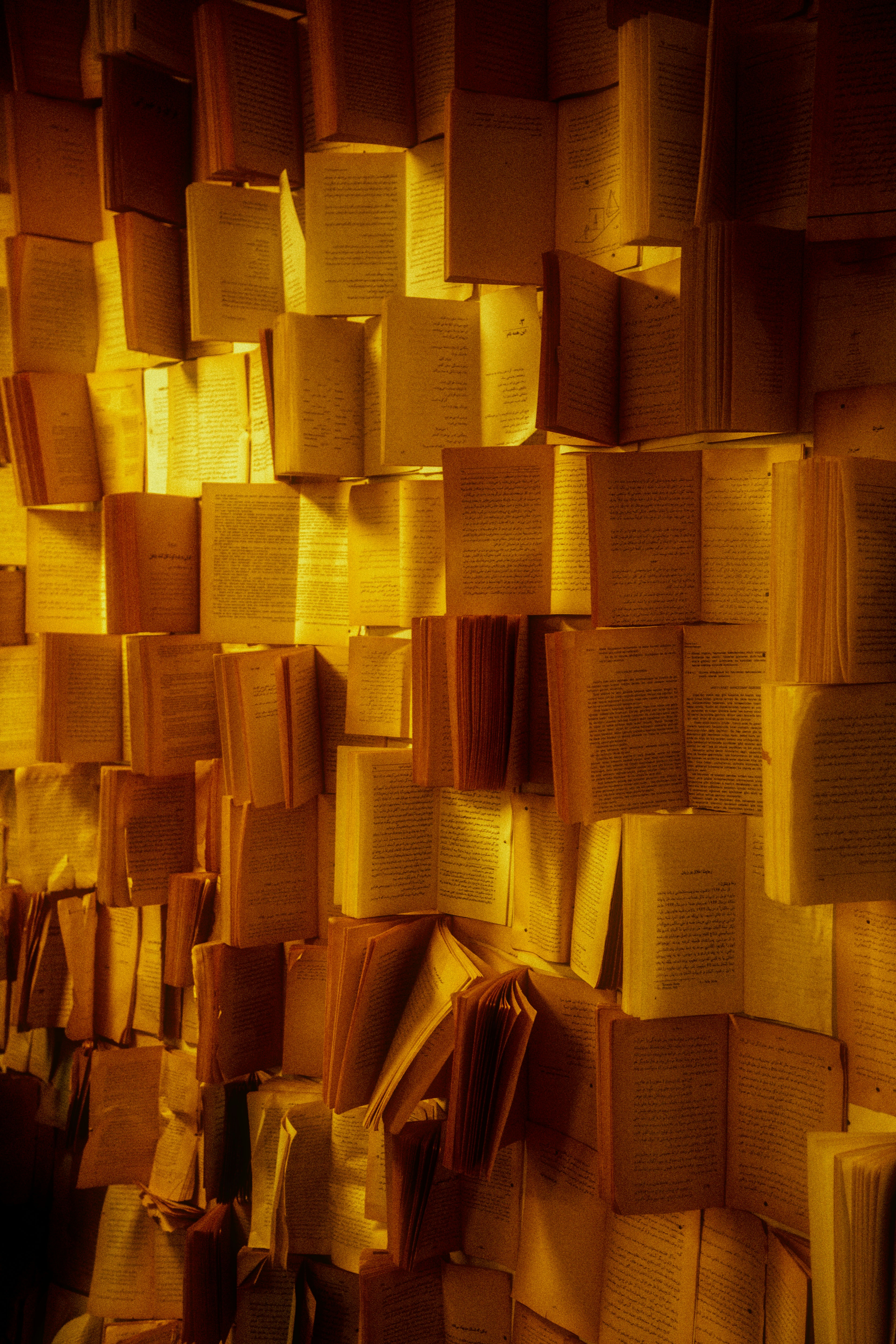 Open books in a bright library, warm golden light, scholarly atmosphere, pale cream walls