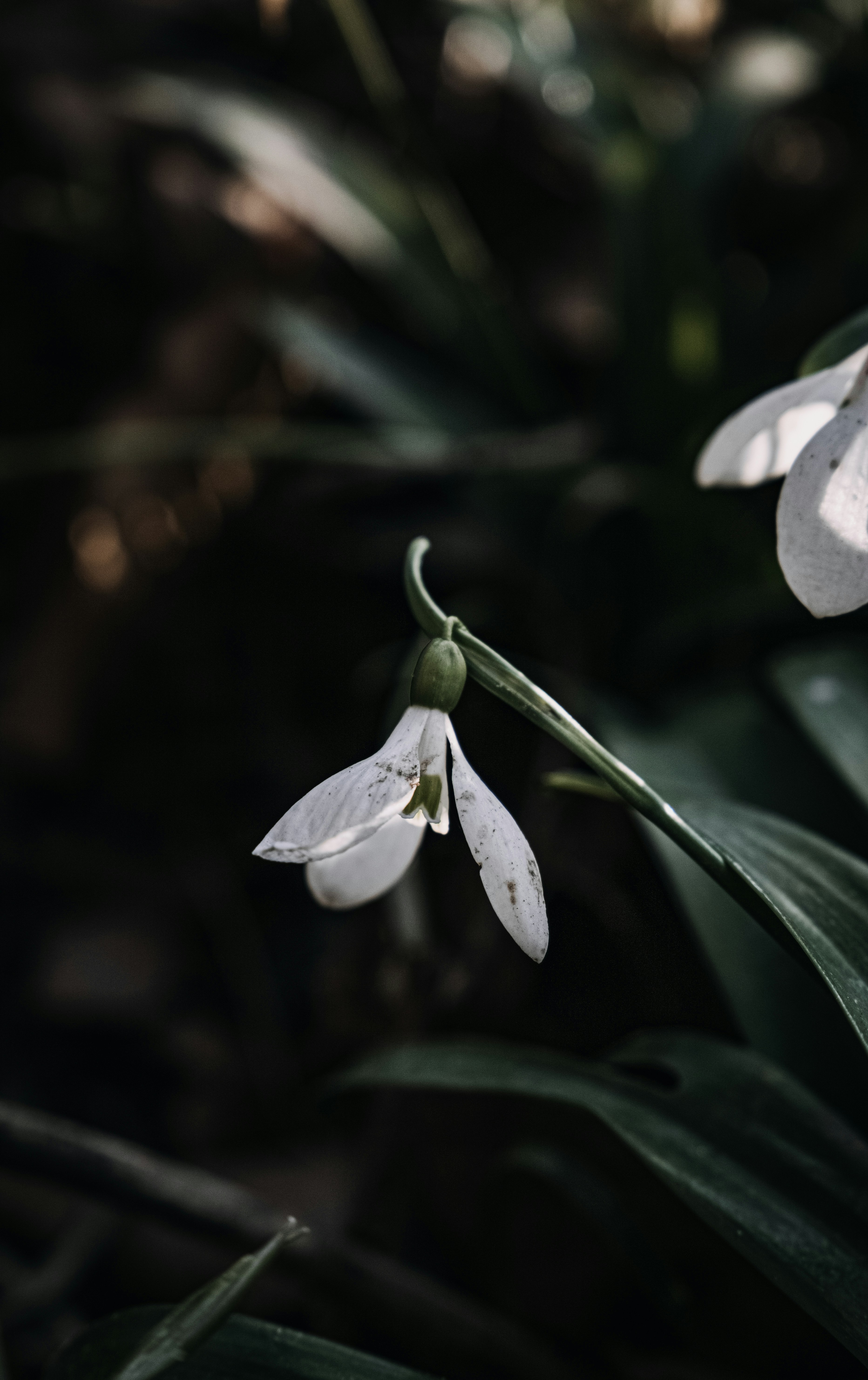 Photo by katharina_bill