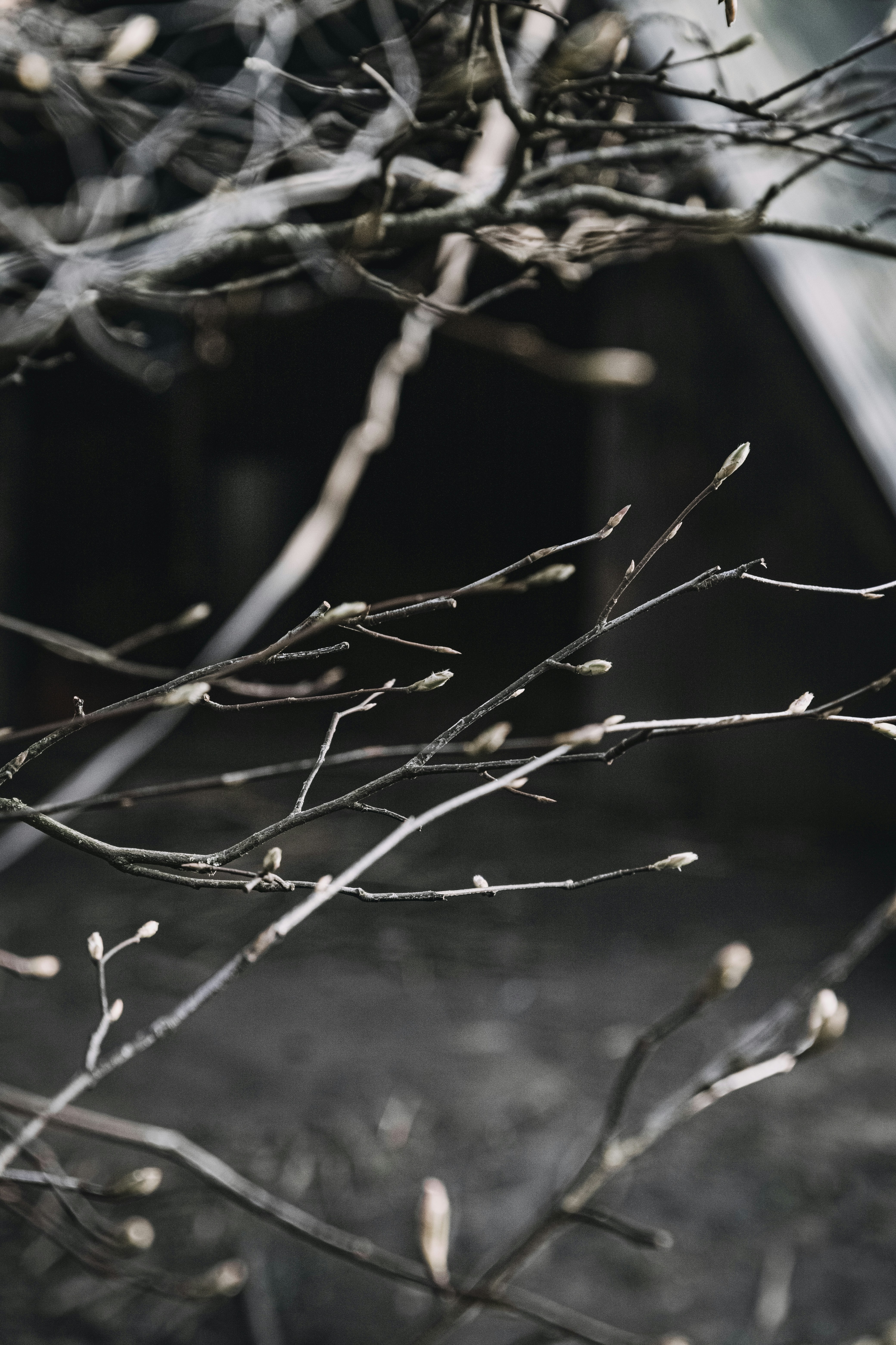 Photo by katharina_bill