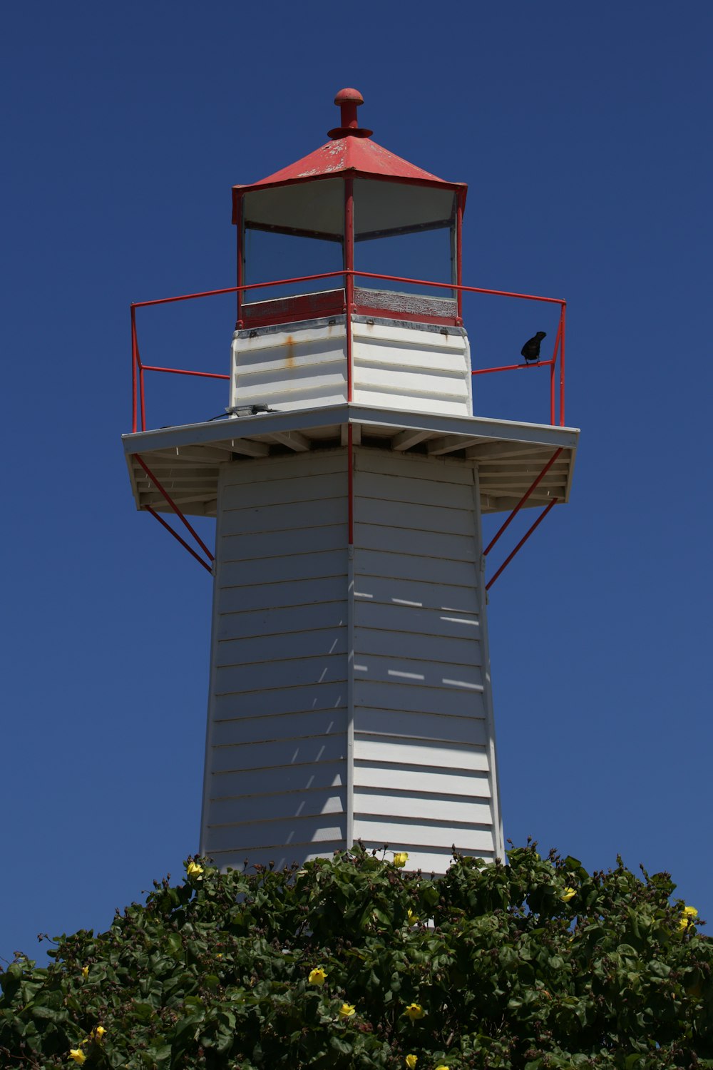 a white and red light house on top of a hill