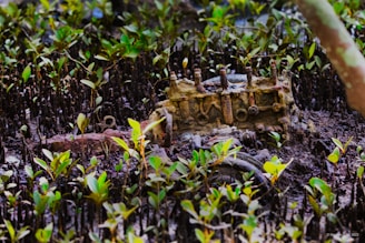 A rusty, abandoned engine partially submerged in muddy ground surrounded by green mangrove plants. The intricate metal parts of the engine are covered in rust and dirt, blending into the swampy environment.