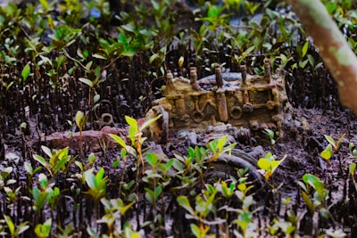 A rusty, abandoned engine partially submerged in muddy ground surrounded by green mangrove plants. The intricate metal parts of the engine are covered in rust and dirt, blending into the swampy environment.