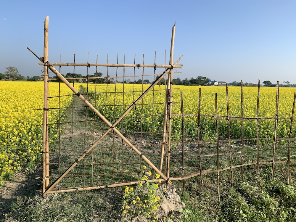 a wooden gate in a field of yellow flowers