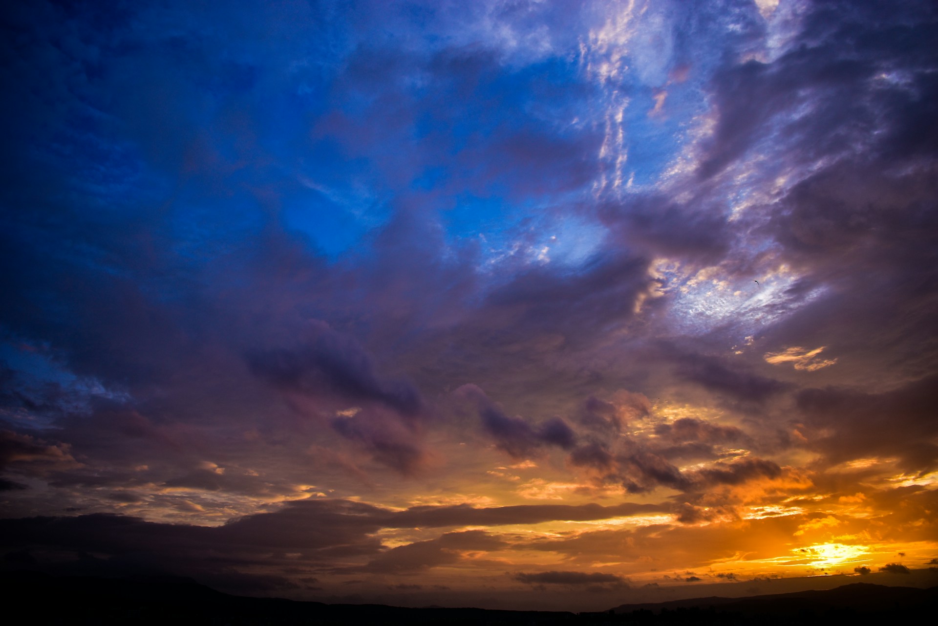 gray computer monitor