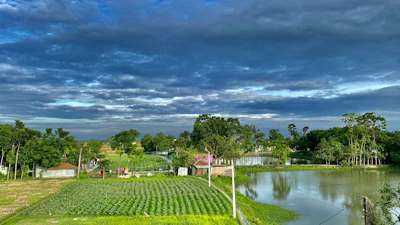 Illustration of a farm landscape with weather icons and water sensors in the soil.
