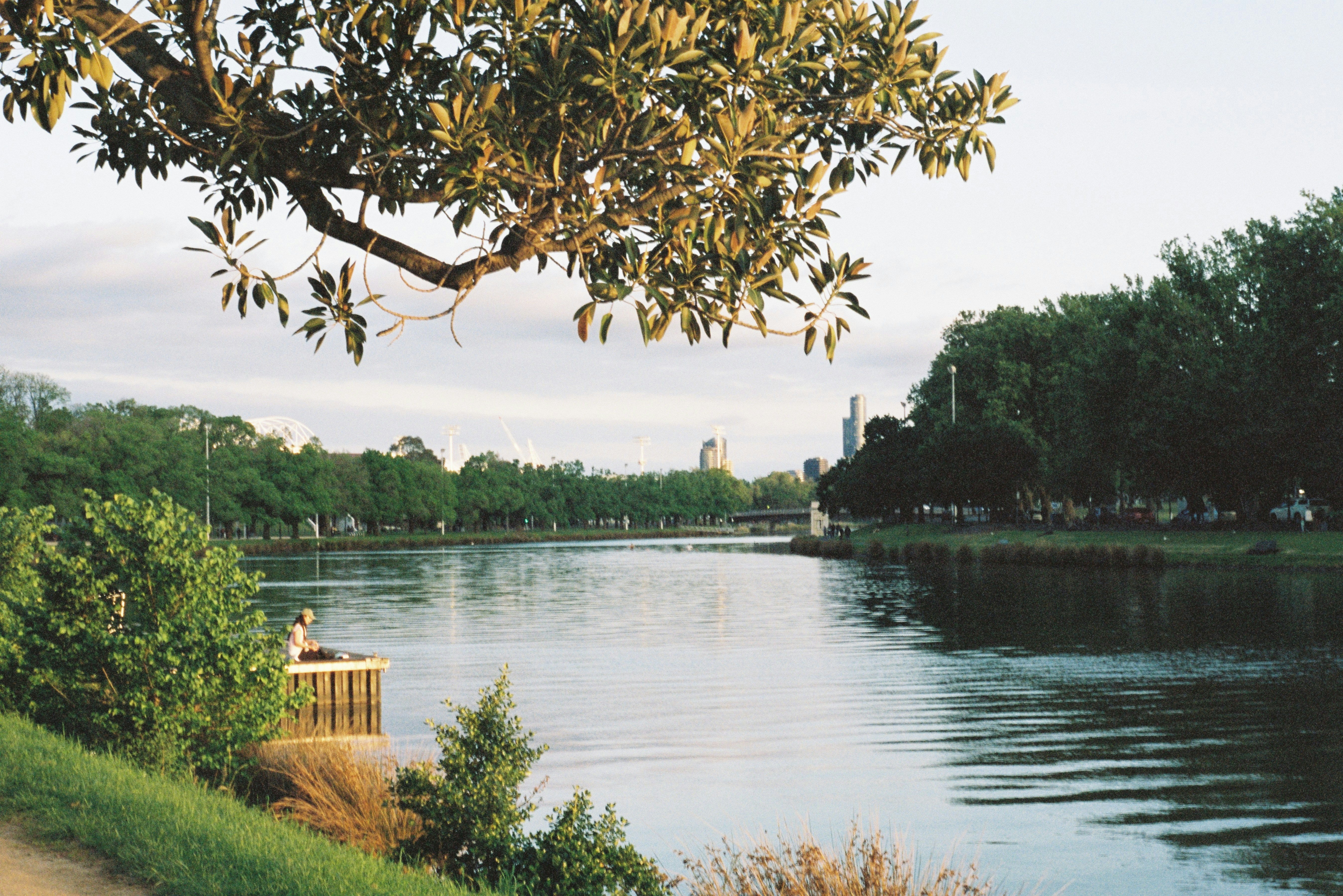 a body of water surrounded by trees and grass