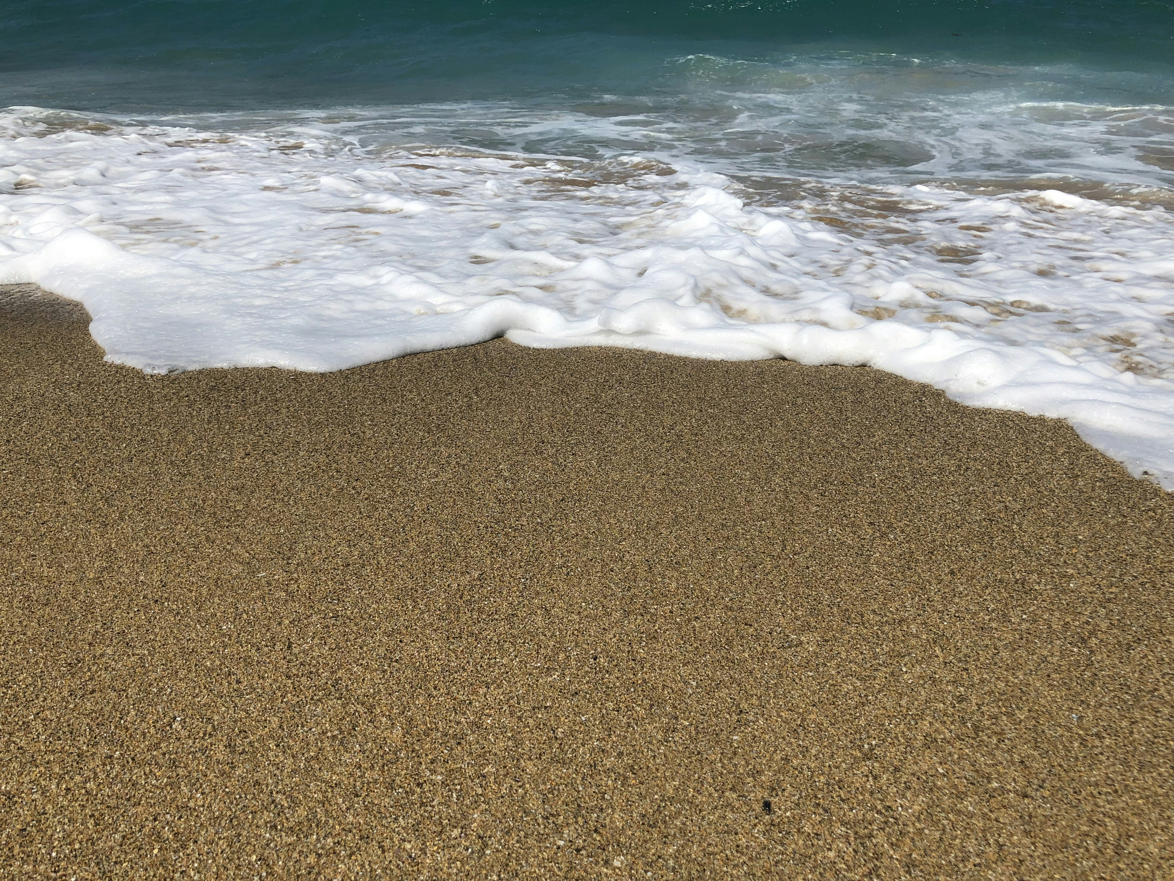 Photo by dumpling222