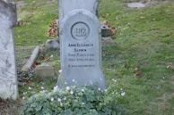 A gravestone set in a grassy area with flowers around the base. The stone has inscriptions detailing the life dates of Anne Elizabeth Darwin, who was born March 2, 1841, and died April 23, 1851. The gravestone is surrounded by fallen leaves and slightly overgrown grass.