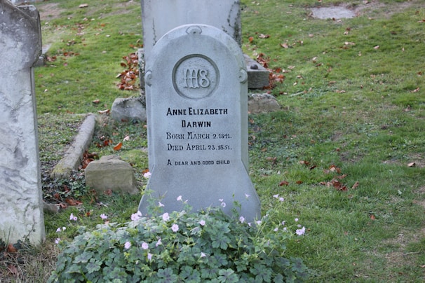 A gravestone set in a grassy area with flowers around the base. The stone has inscriptions detailing the life dates of Anne Elizabeth Darwin, who was born March 2, 1841, and died April 23, 1851. The gravestone is surrounded by fallen leaves and slightly overgrown grass.