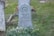 A gravestone set in a grassy area with flowers around the base. The stone has inscriptions detailing the life dates of Anne Elizabeth Darwin, who was born March 2, 1841, and died April 23, 1851. The gravestone is surrounded by fallen leaves and slightly overgrown grass.