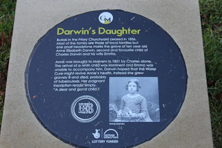 Darwin Festival Hasn't Escaped Modern Criticism