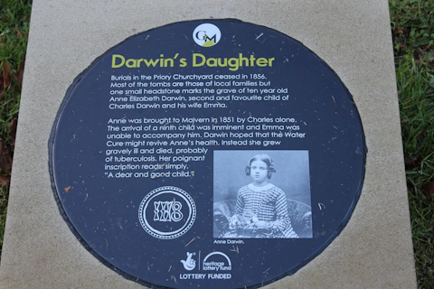 Darwin Festival Hasn't Escaped Modern Criticism