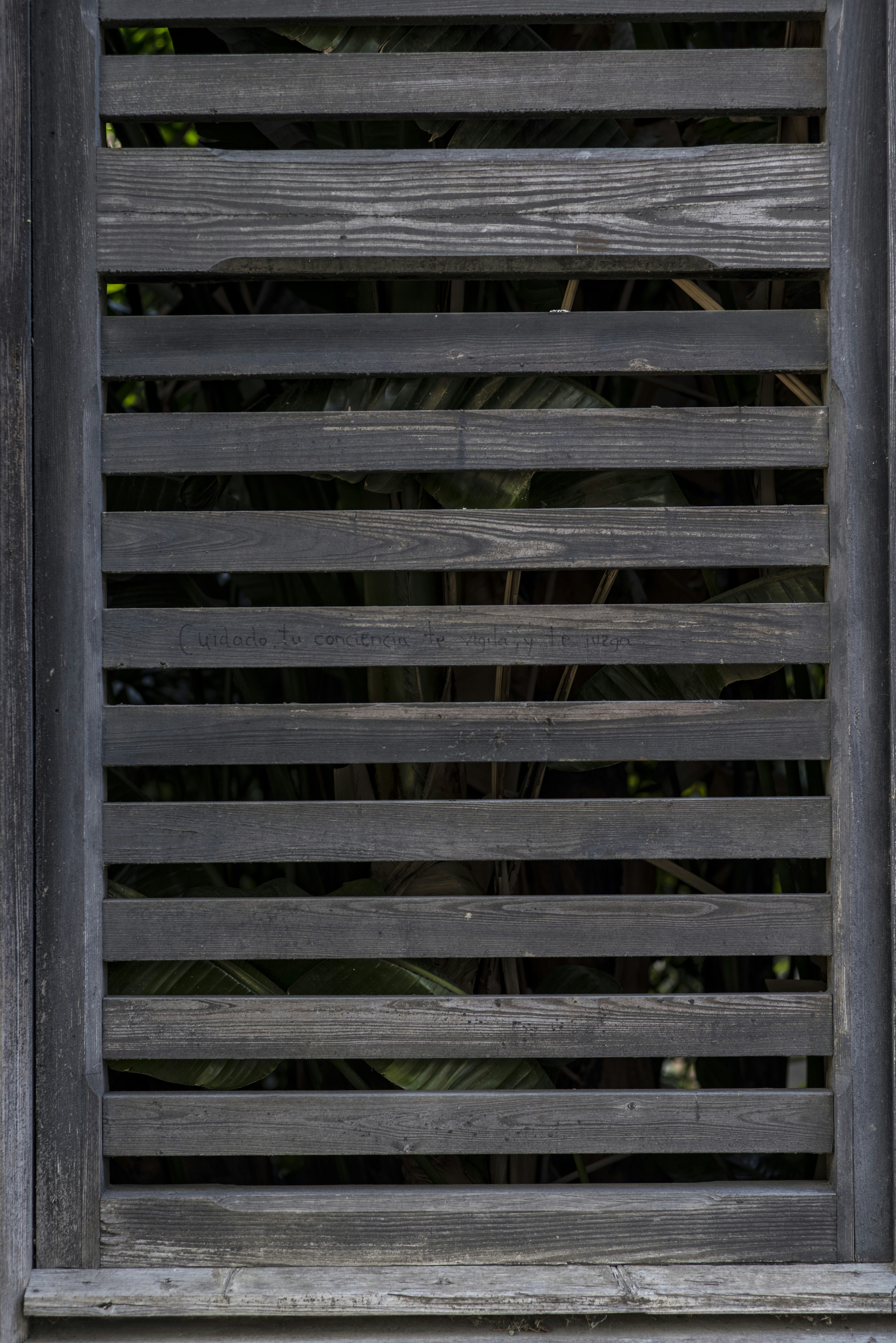 a close up of a window with wooden slats