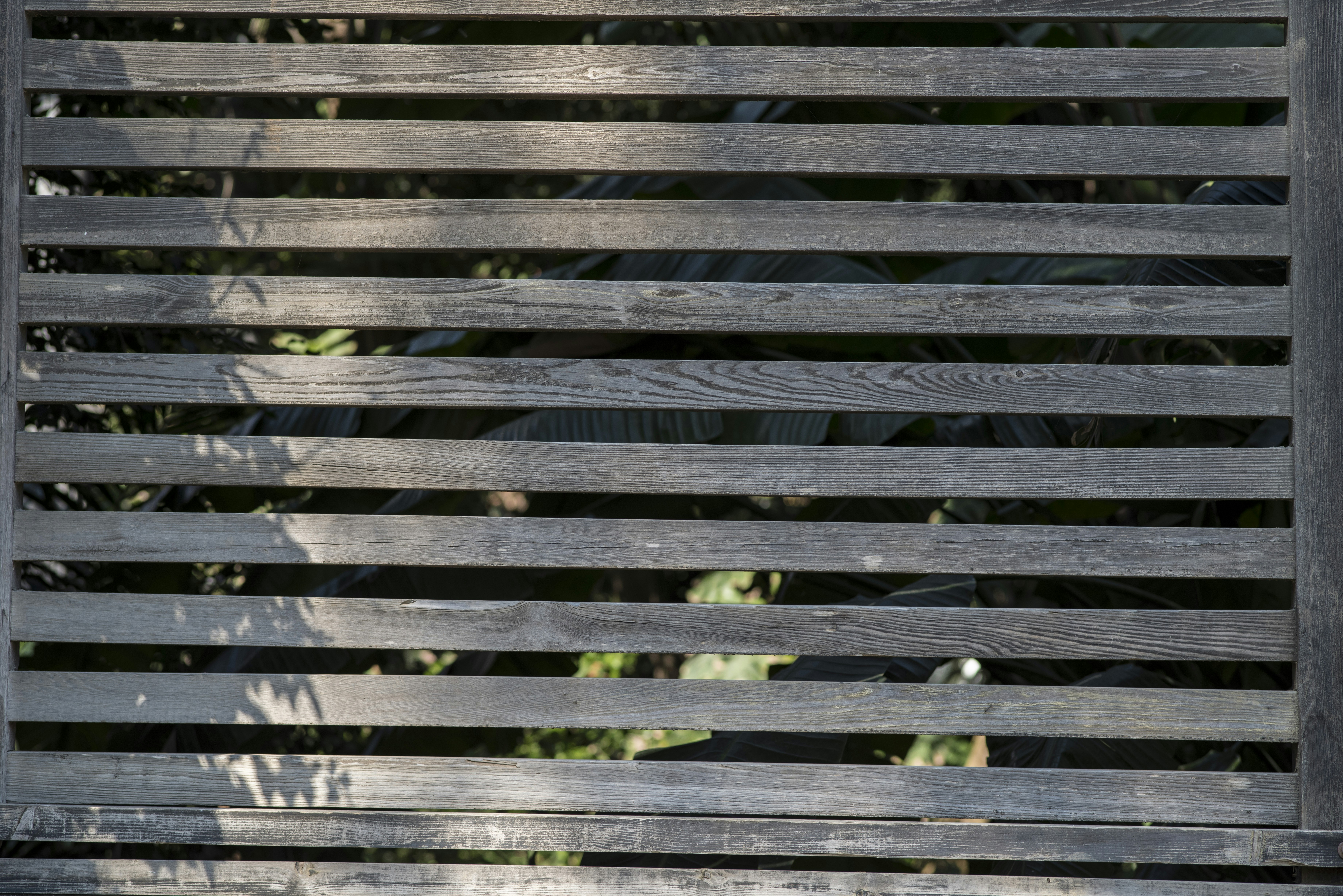 Photo by lluis_bazan