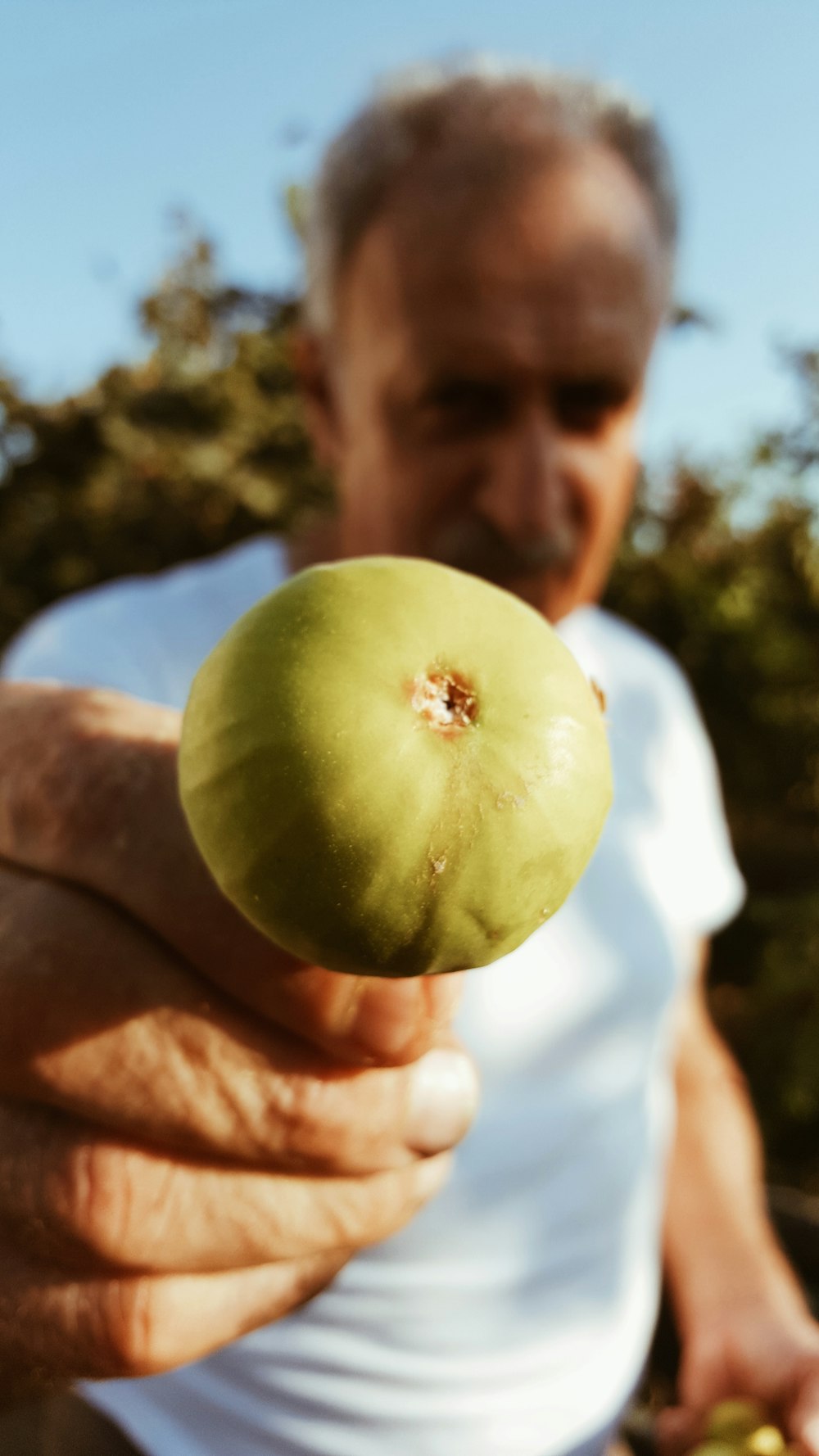 um homem segurando uma maçã verde em sua mão
