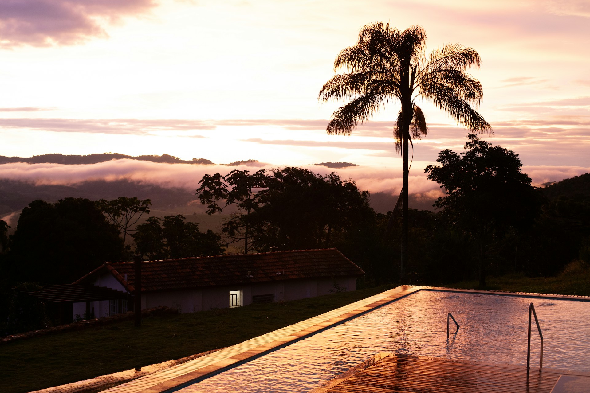 A serene scene featuring a purple gradient sky, a lone palm tree, and a sparkling swimming pool nestled far in the background.