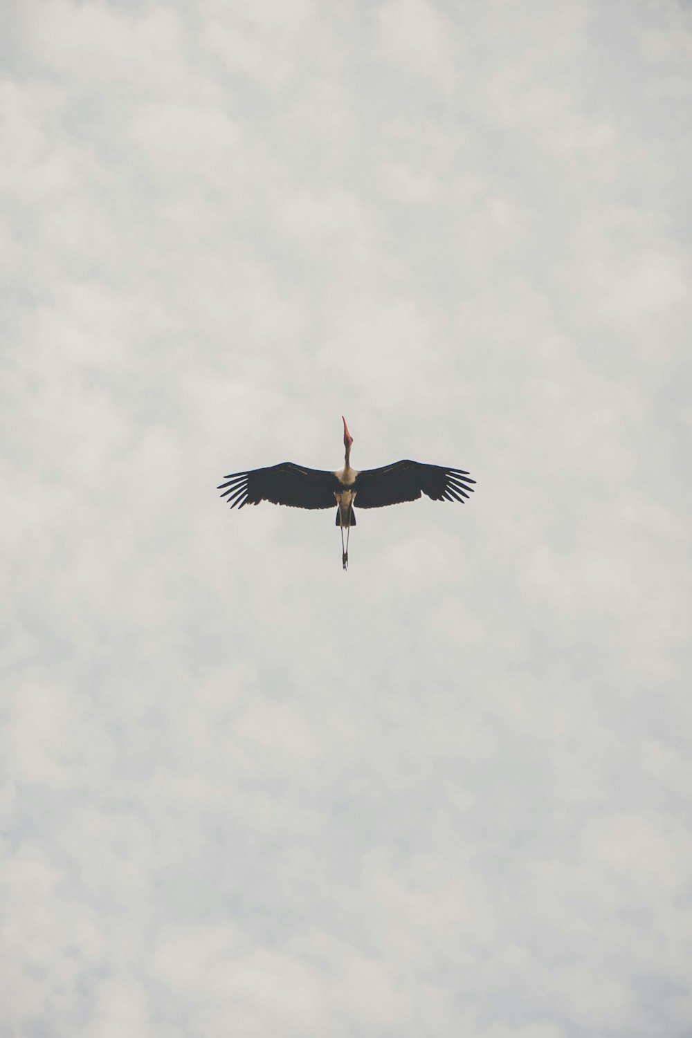 a large bird flying through a cloudy sky