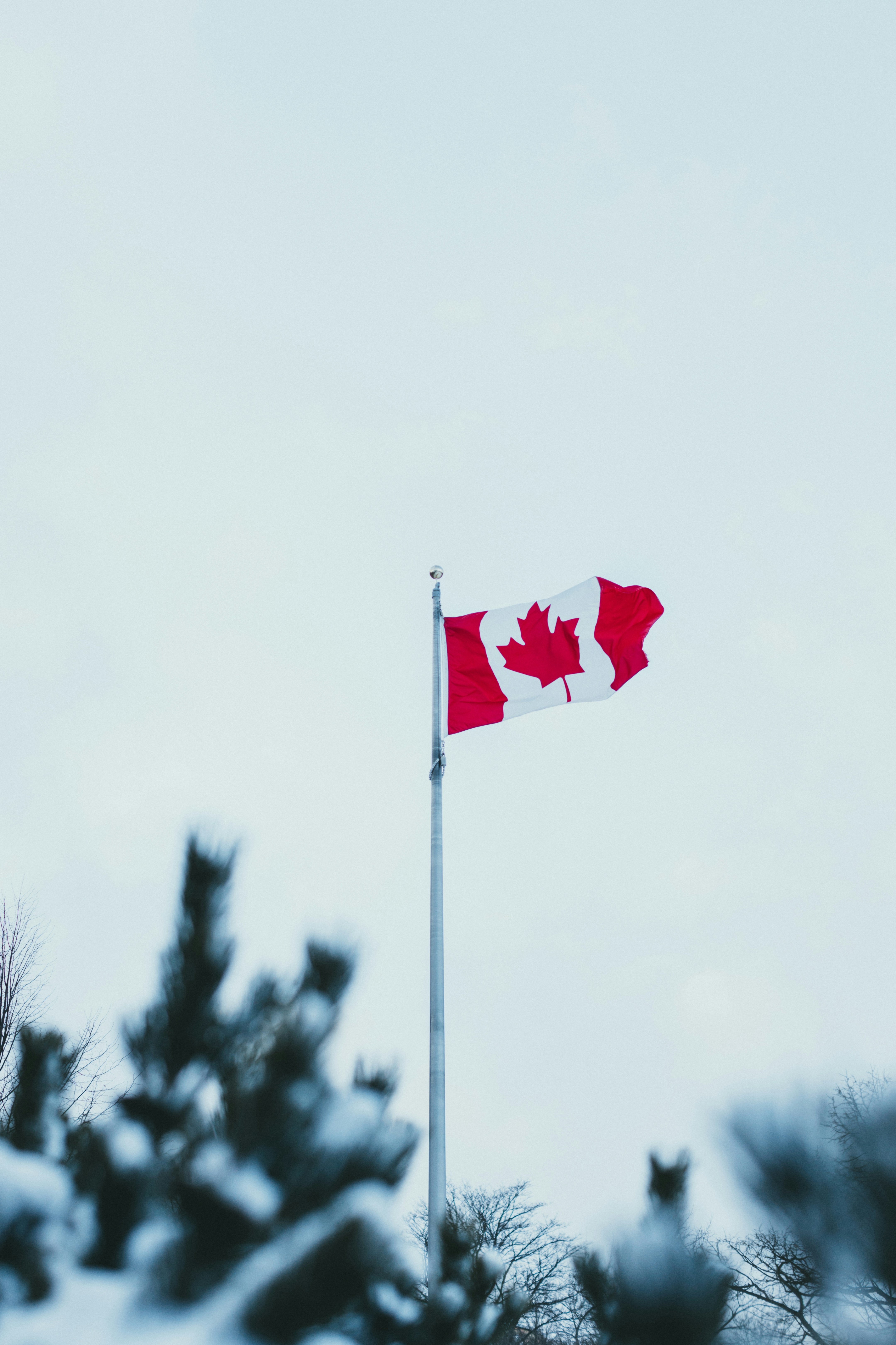 a flag flying on a cloudy day