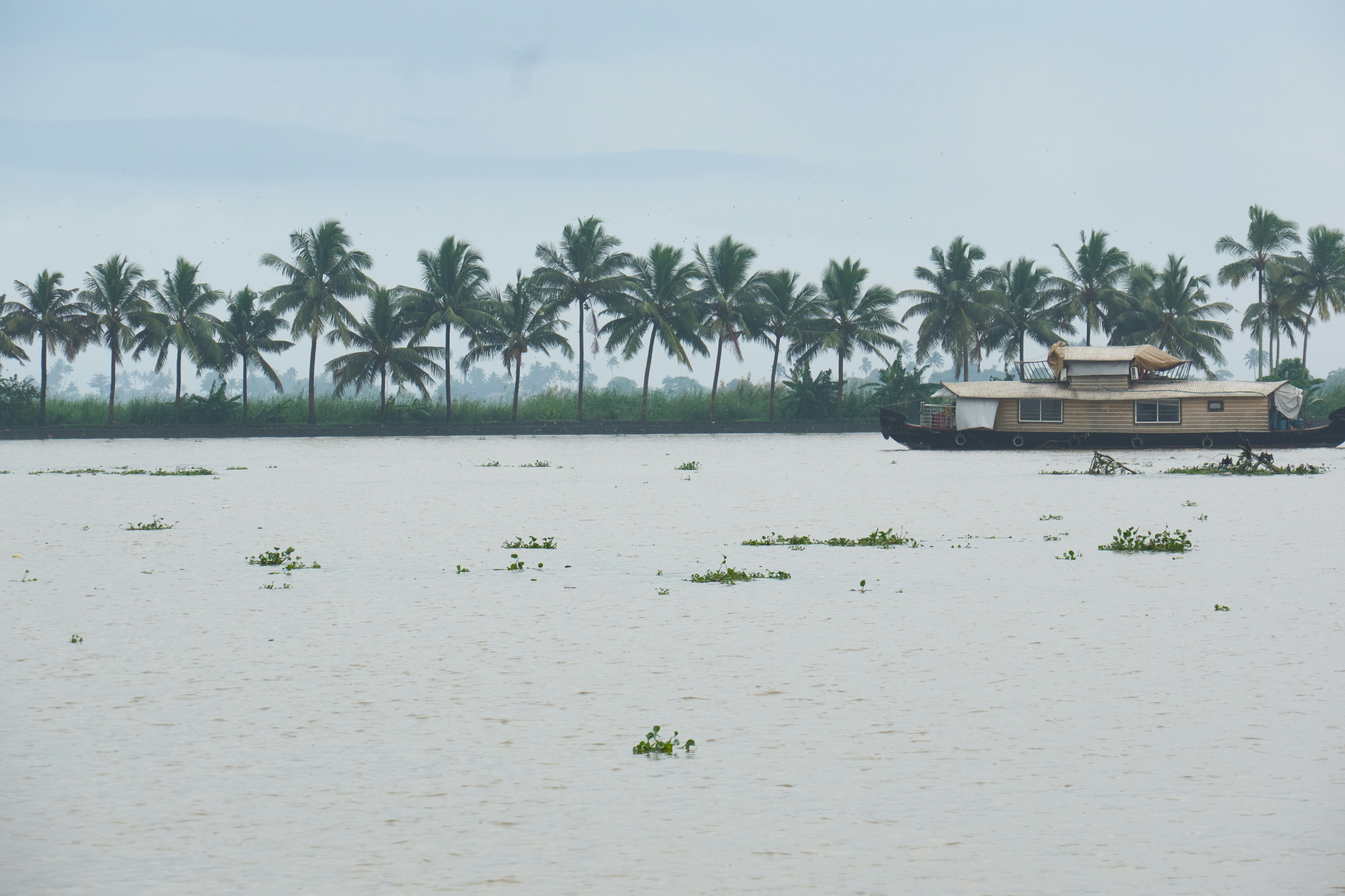 Photo by kevinmartinjose