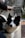 A black and white dog, possibly a Border Collie, is sitting with a harness on, inside a plastic-covered space. The dog's ears are perked up, and it looks curious or attentive. A person's hand is visible, holding a steering element, suggesting they might be on a vehicle.