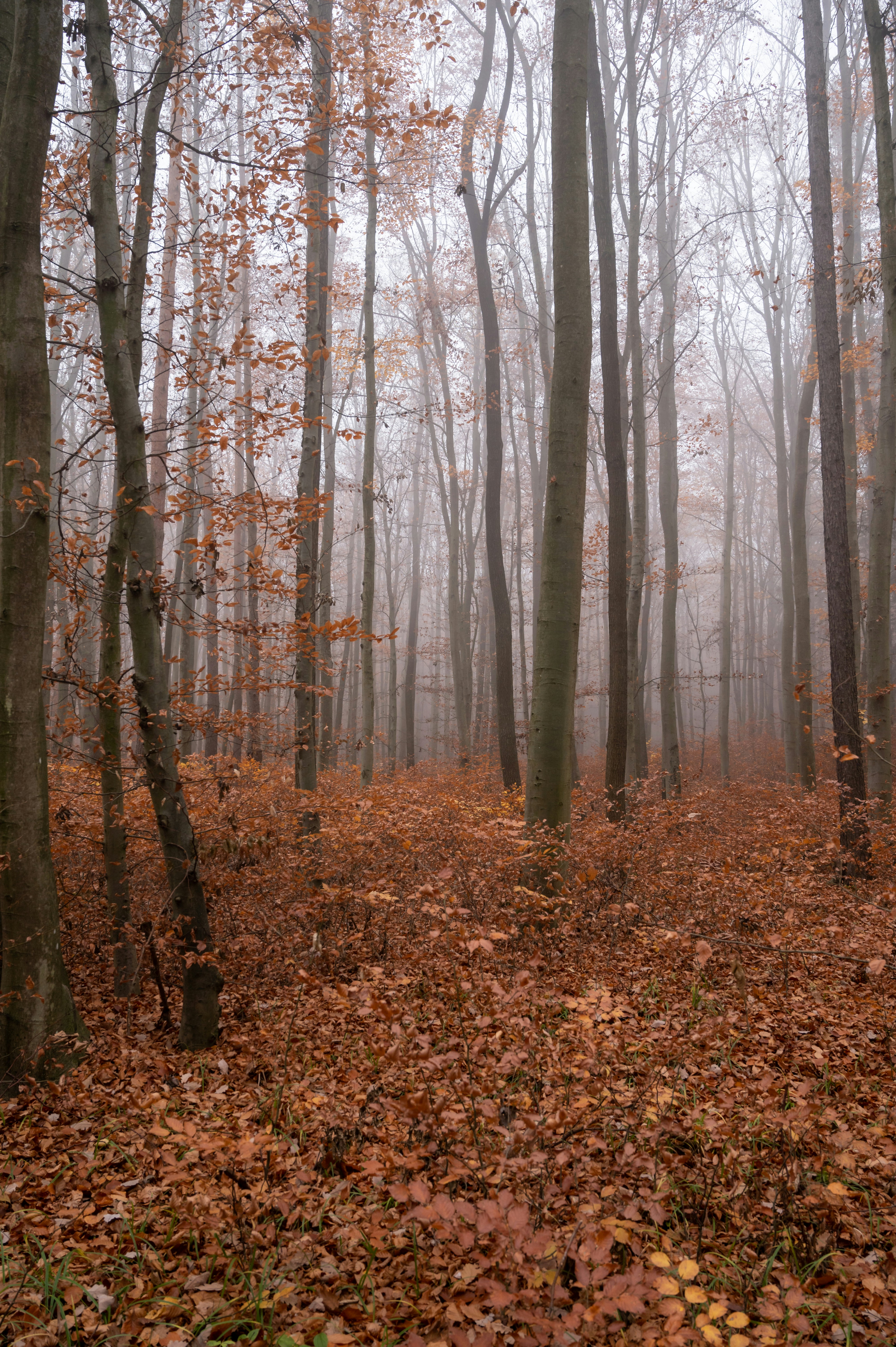 Photo by carrie_borden