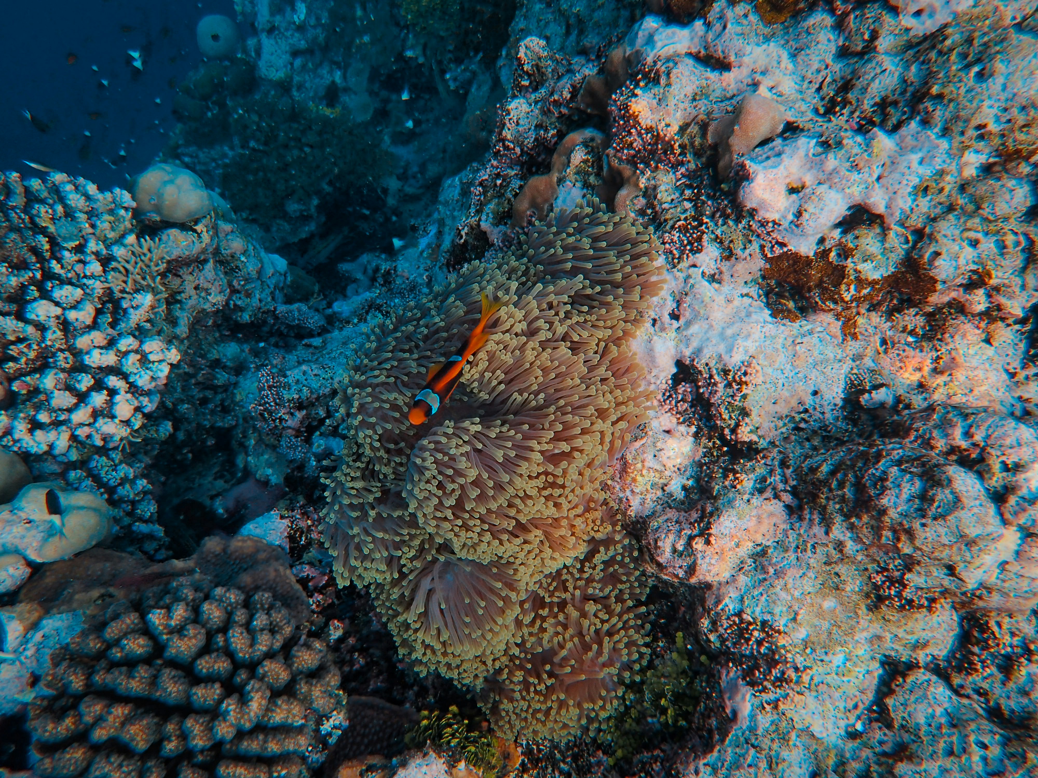 Photo by francesco_ungaro