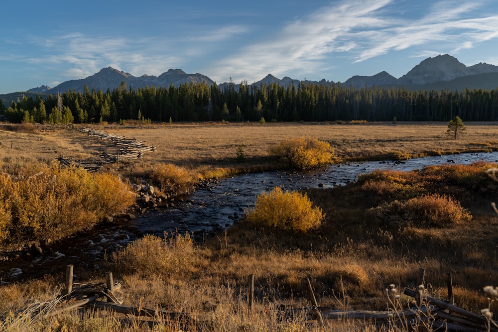 a stream running through a dry grass field