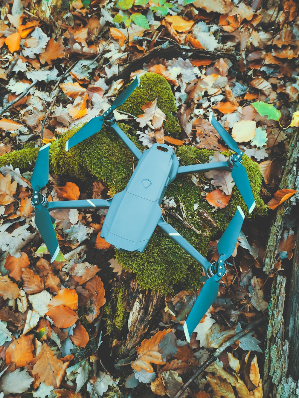 a small blue object is laying on the ground