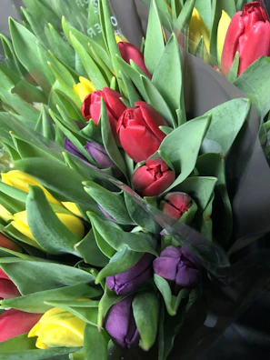 Vibrant mixed flower arrangement featuring bright tulips and wildflowers.