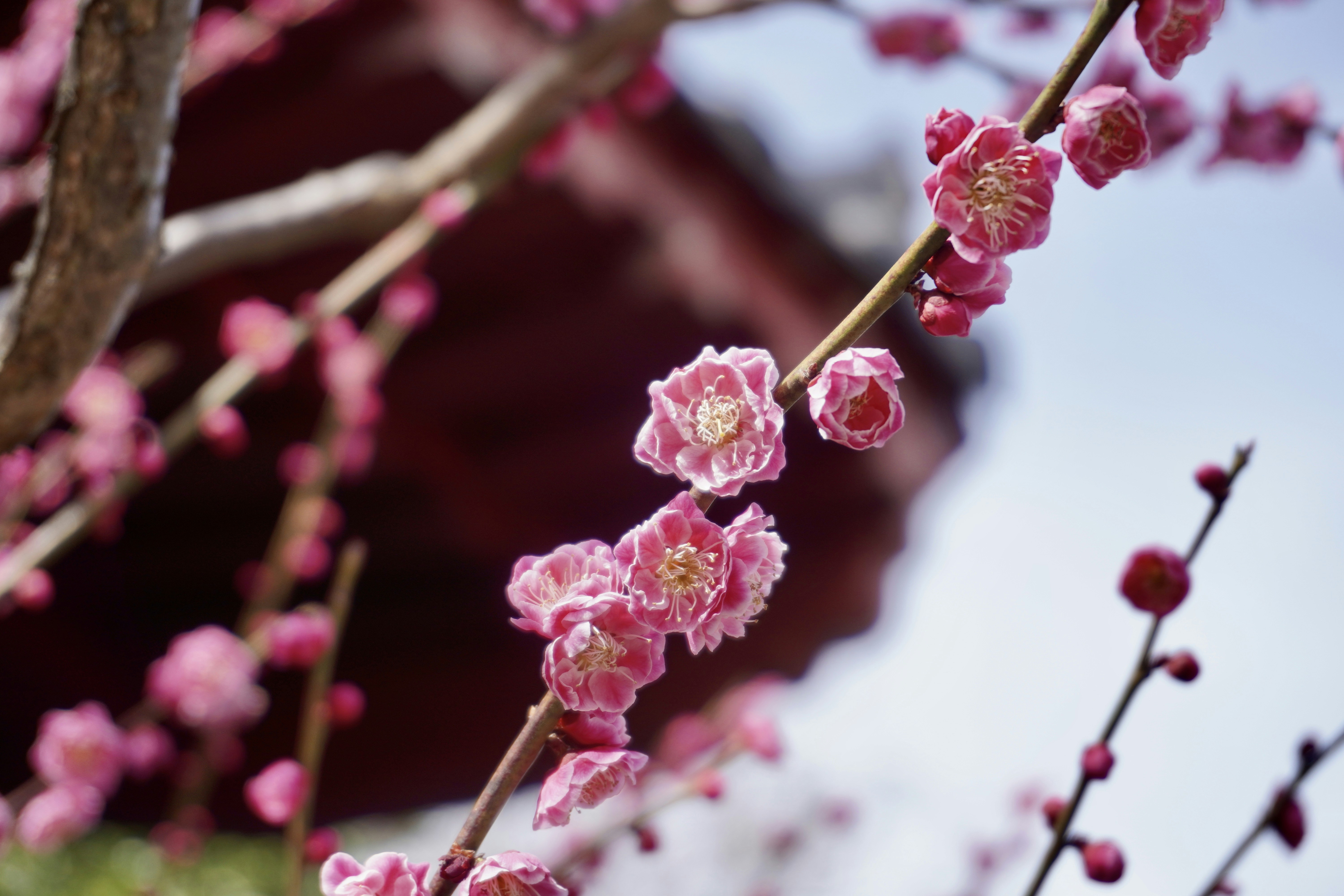 Photo by allen_zhang