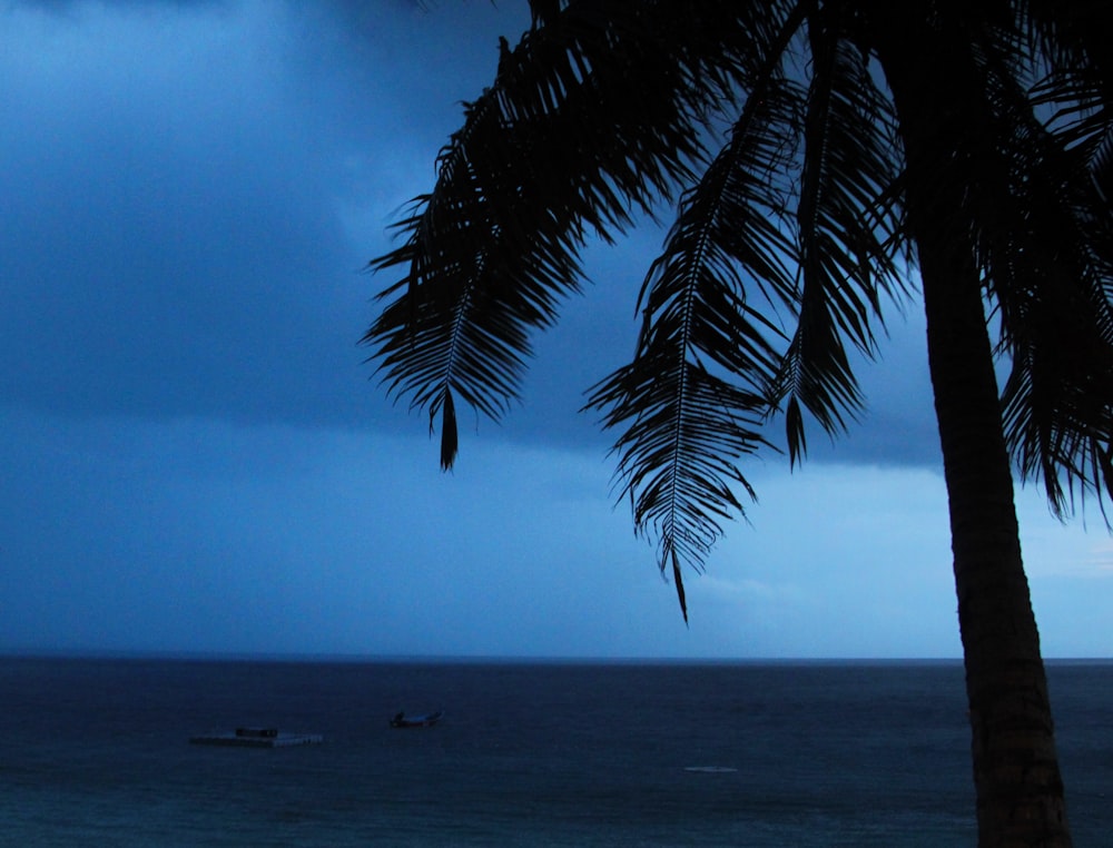 a couple of boats are out in the ocean at night