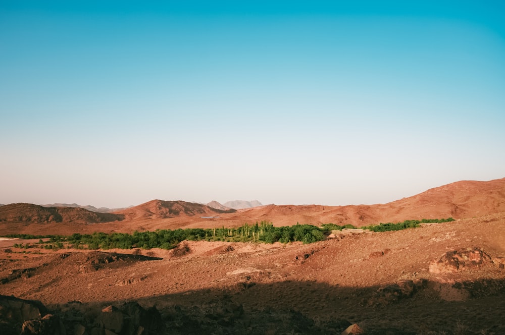 a view of a mountain range with trees in the foreground