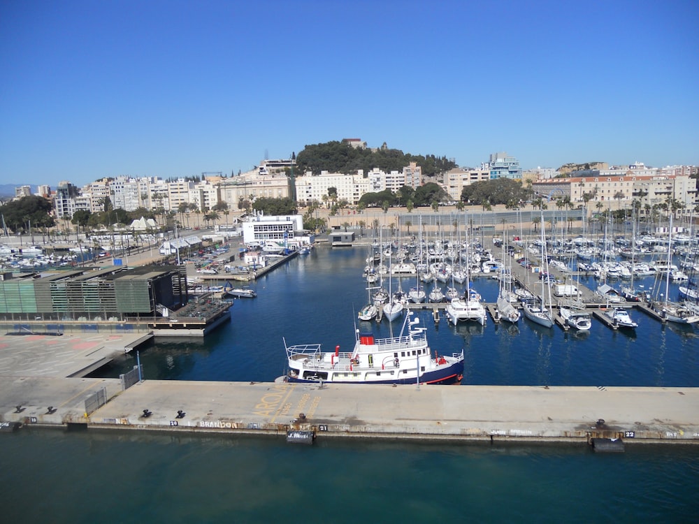 a harbor filled with lots of boats next to a city