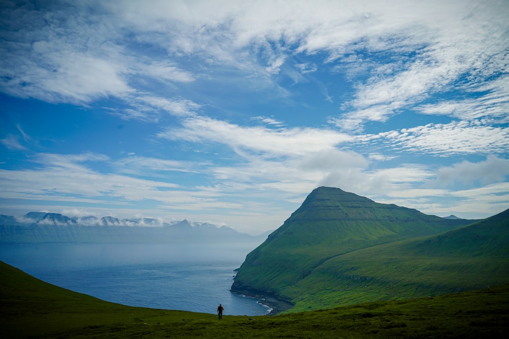 a person standing on top of a lush green hillside